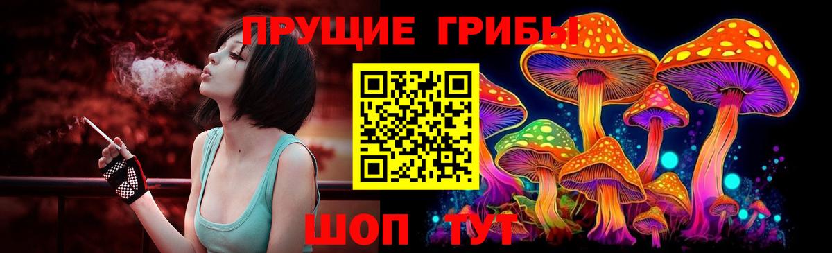 Лесосибирск  купить наркотики сайты  Вход с VPN  Галлюциногенные грибы ЛСД  Псилоцибиновые грибы прущие грибы 